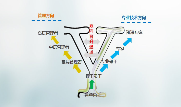 新澳49码表图